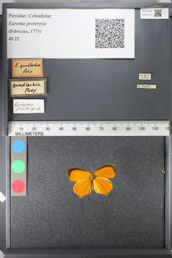 Media type: image;   Entomology 121715